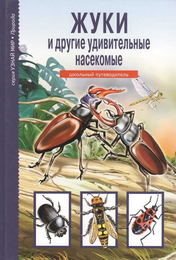 Книга Жуки и другие удивительные насекомые. () — 1