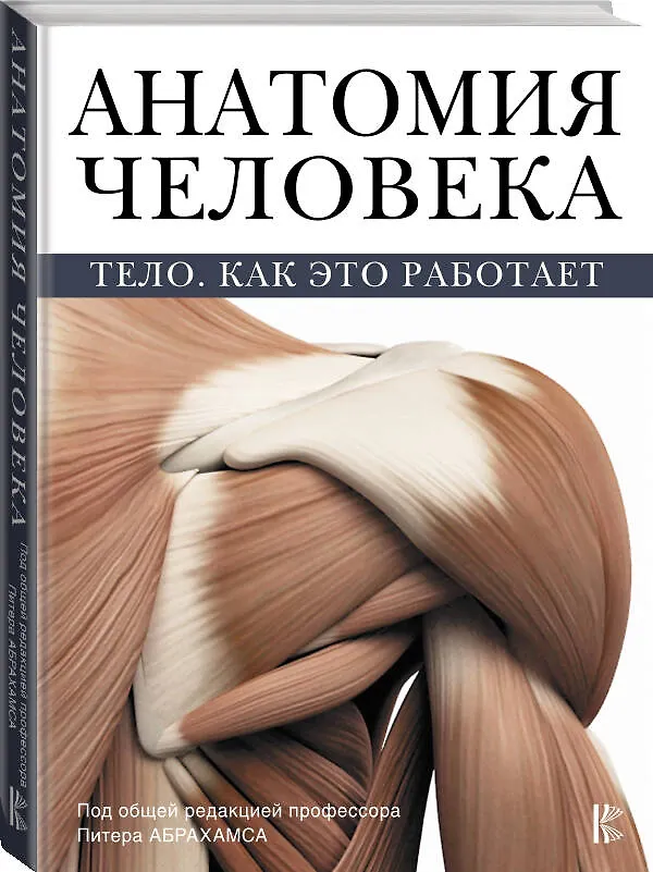 Книга Атлас анатомии Абрахамса (Питер Абрахамс) — 5