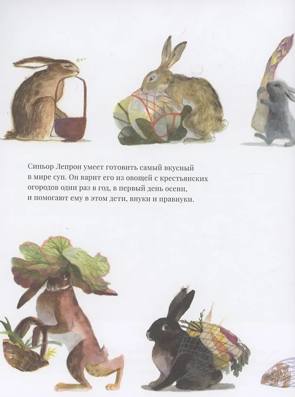 Книга Суп синьора Лепрона (Джованна Дзоболи) — 5