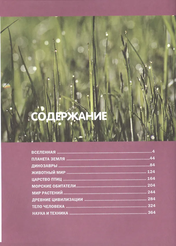 Книга Детская энциклопедия. Большой подарок для мальчиков и девочек. () — 2