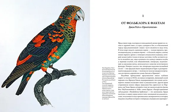 Книга Иллюстрированная история орнитологии (Тим Беркхед) — 4