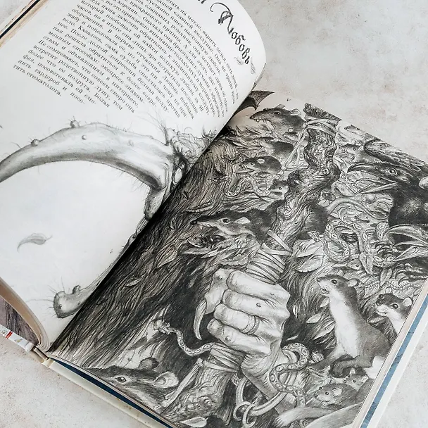 Книга Волшебная вселенная Оливье Ледруа (Лоран Суйе, Оливье Суйе) — 13