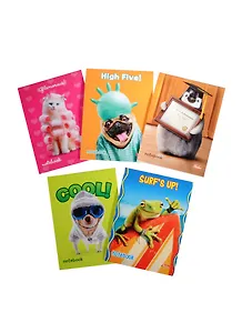 Блокнот А6 32л кл. "Стоп-кадр" карт.обл., на скрепке, ассорти, Hatber