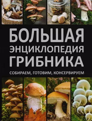 Большая энциклопедия грибника. Собираем, готовим, консервируем. — 2595322 — 1