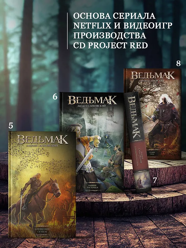 Книга Крещение огнем (Анджей Сапковский) — 7