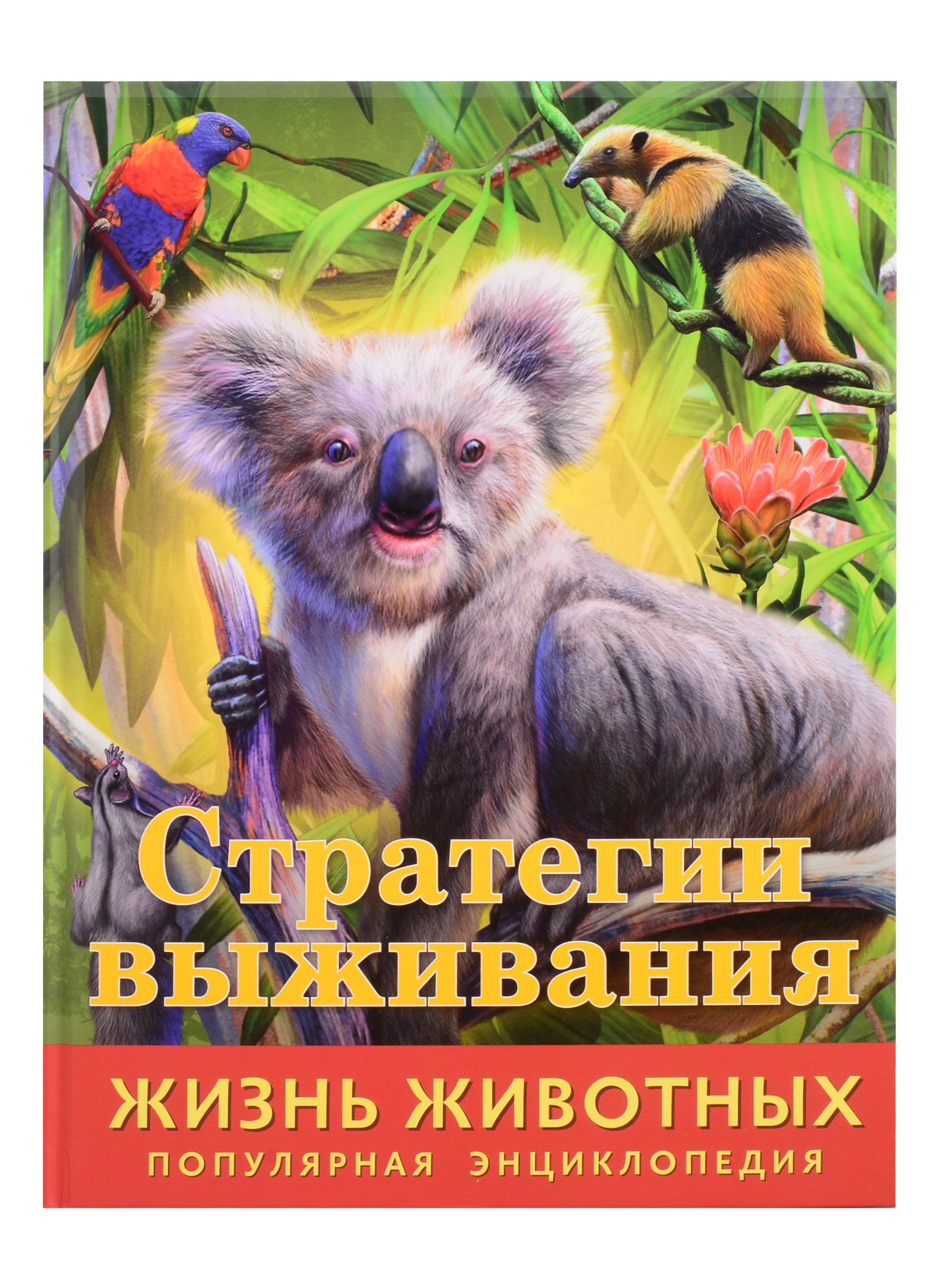 

Стратегии выживания