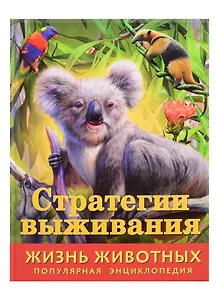 Стратегии выживания