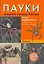 Пауки средней полосы России — 2263106 — 1