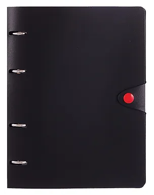 Тетрадь на кольцах «Favorite Black. No 4» 80 листов в клетку, сменный блок - Listoff 3090733