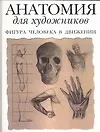 Книга Анатомия для художников.Фигура человека в движении (Том Флинт)