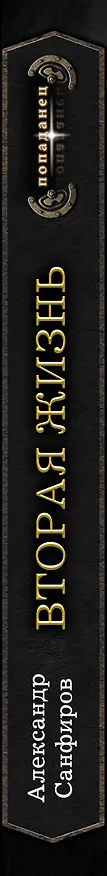 Книга Вторая жизнь (Александр Санфиров) — 3