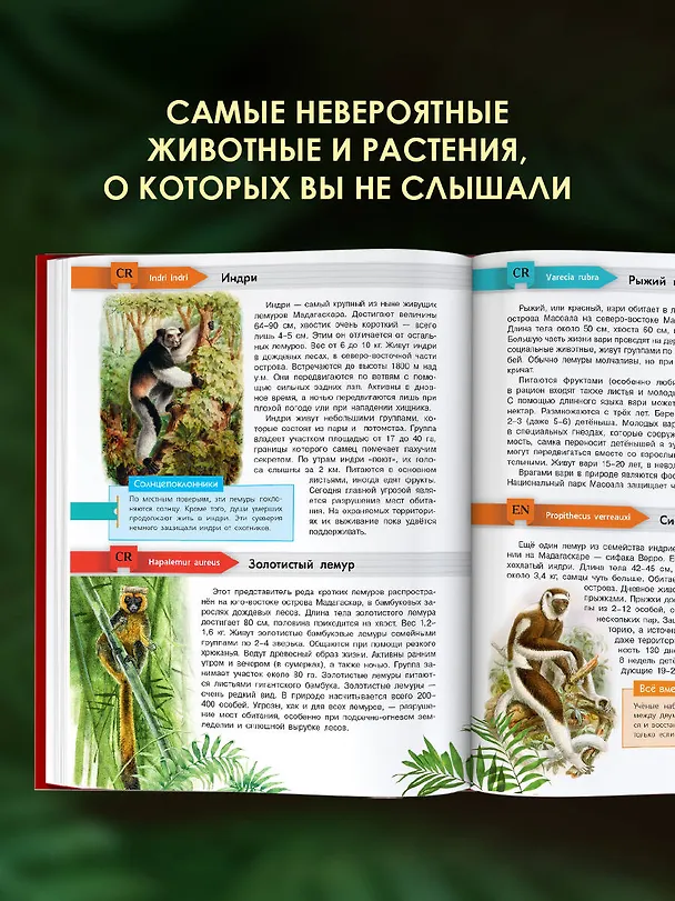 Книга Красная книга мира (Ирина Пескова, Михаил Молюков) — 7