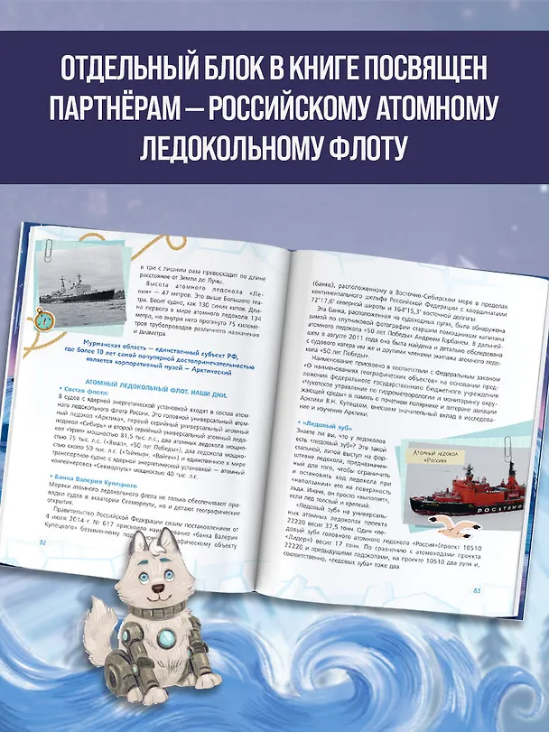 Книга Арктика (Олег Рой) — 9