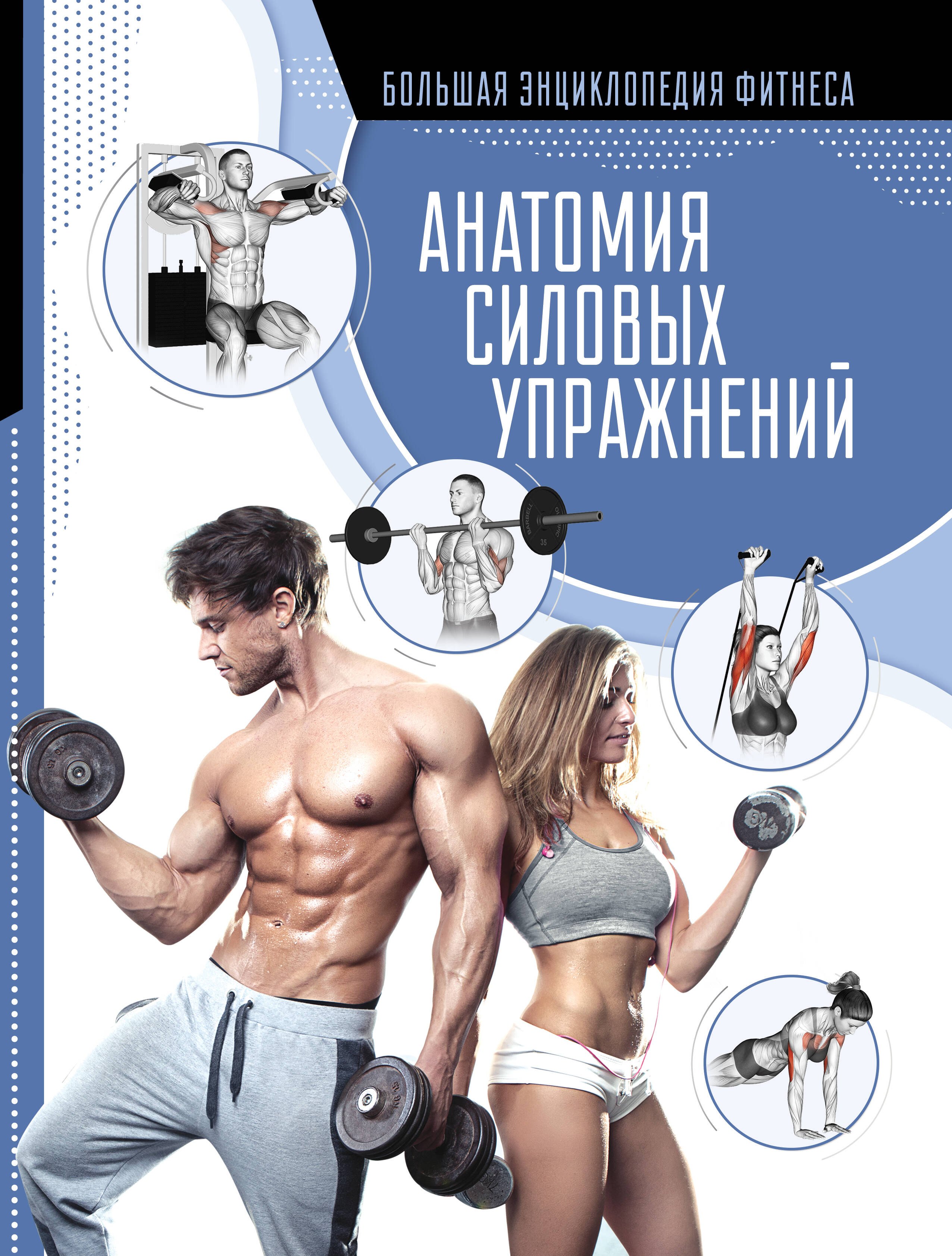 

Анатомия силовых упражнений