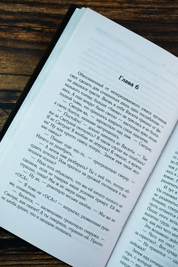 Книга Зона Севера. Сочинитель (Андрей Буторин) — 10