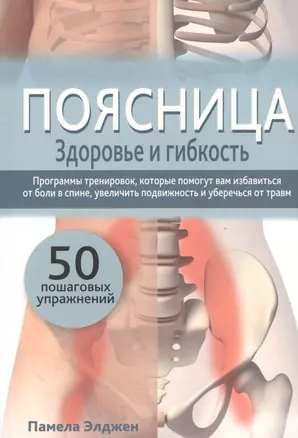 Поясница. Здоровье и гибкость — 2487713 — 1