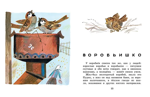 Книга Случай с Евсейкой. Рисунки Ю. Молоканова (Максим Горький) — 10