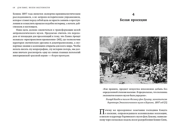 Книга Музеи жестокости: Бенинские бронзы, колониальное насилие и культурная реституция (Дэн Хикс) — 25