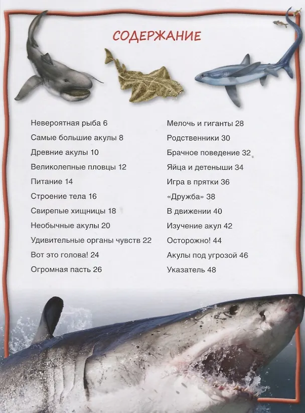 Книга Акулы (Стив Паркер) — 2