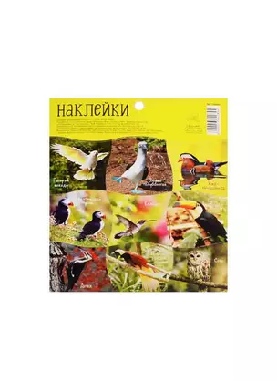 Наклейки декоративные Птицы (1364089) (11х15 см) (АртУзор) — 2536224 — 1