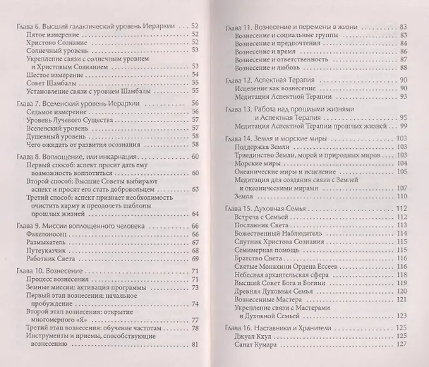 Книга Спутник Работника Света. Ченнелинговый путеводитель по высшим мирам (Аманда Гуггенхаймер) — 3