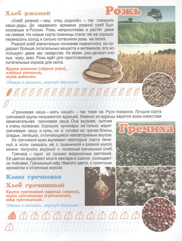 Книга Что у нас на столе? Для детей 4-6 лет () — 3