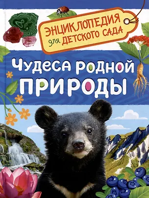 Книга Энциклопедия для детского сада. Чудеса родной природы (Лариса Клюшник)
