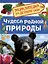 Энциклопедия для детского сада. Чудеса родной природы — 3120413 — 1