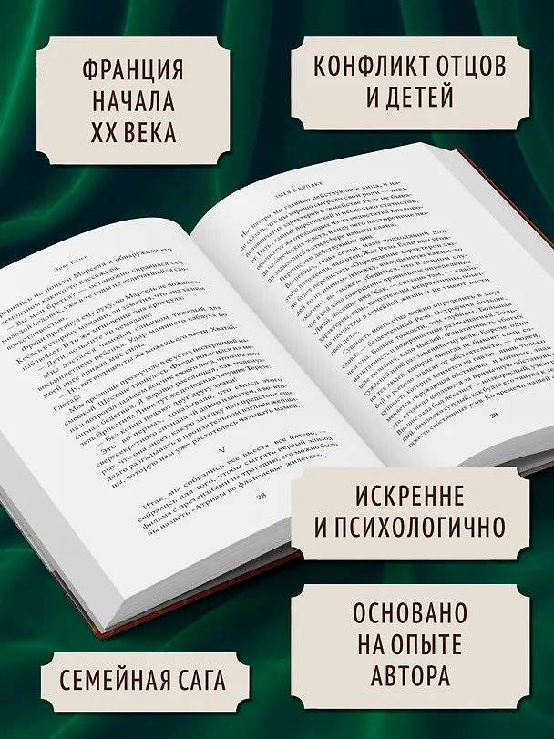 Книга Змея в кулаке (Эрве Базен) — 5