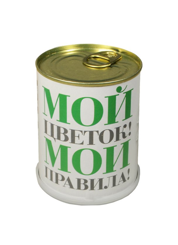 ГИФТМАН Набор для выращивания Мой цветок – мои правила! , ромашка, 9,5*7,5 см 2486599 — 1