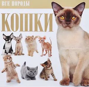 Кошки.