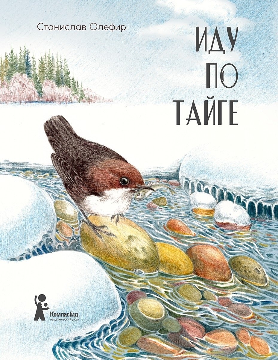 

Иду по тайге