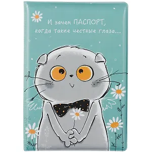 Обложка для паспорта Басик И зачем паспорт (ПВХ бокс) (12-999-27-547)