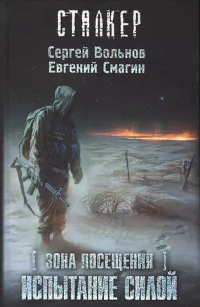 Зона посещения. Испытание силой: фантастический роман — 2419497 — 1