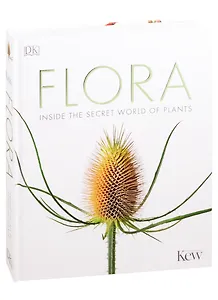 Flora