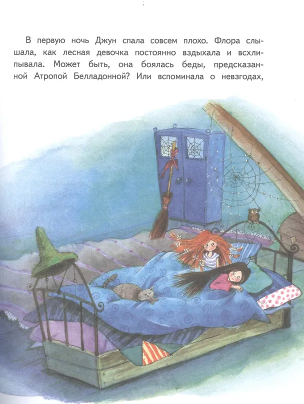 Книга Маленькая ведьмочка Флора. Спасение долины Дивных роз (Элени Ливаниос) — 6