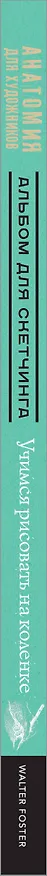 Книга Анатомия для художников () — 3