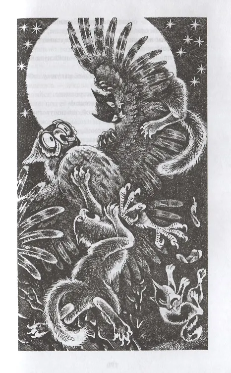 Книга Гроза и Тень (Эрин Хантер) — 4