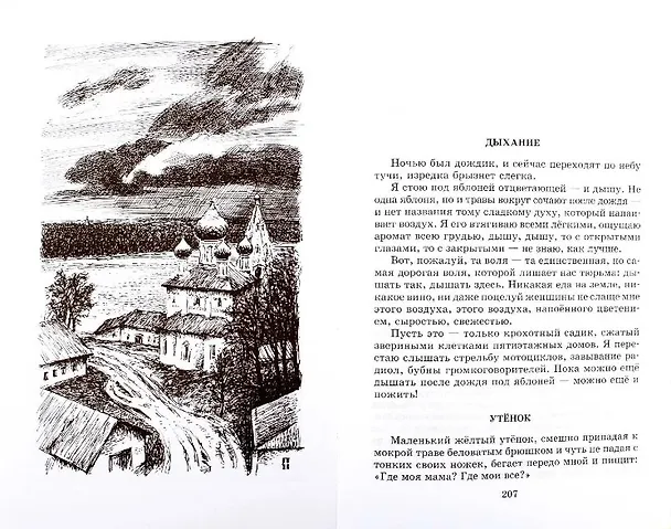 Книга Матренин двор  / Один день Ивана Денисовича, рассказы из цикла Крохотки (Александр Солженицын) — 5
