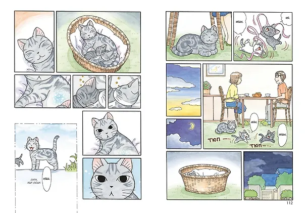 Милый дом Чи. Том 11 (Chi's Sweet Home). Манга 2960729 — 11