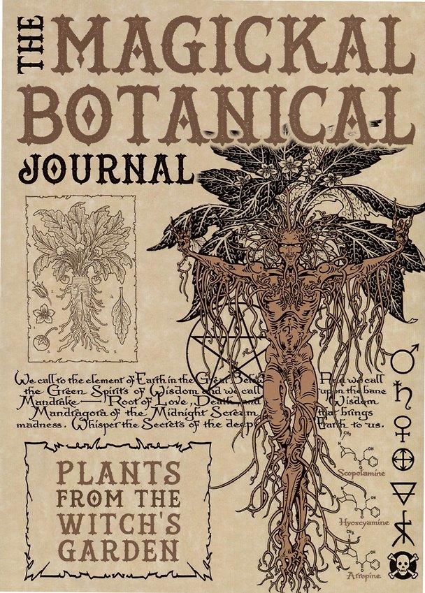 Книга Волшебный ботанический журнал / The Magical Botanical - Journal () — 1