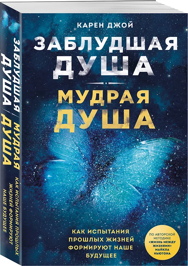 Книга Заблудшая душа - мудрая душа. Как испытания прошлых жизней формируют наше будущее (Карен Джой) — 4