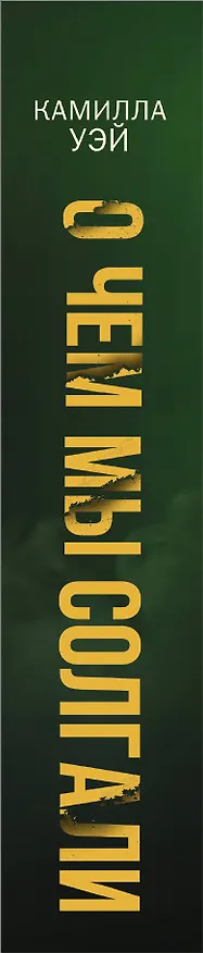 Книга О чем мы солгали (Камилла Уэй) — 3