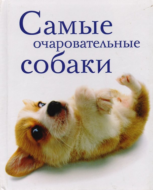 Книга Самые очаровательные собаки () — 1