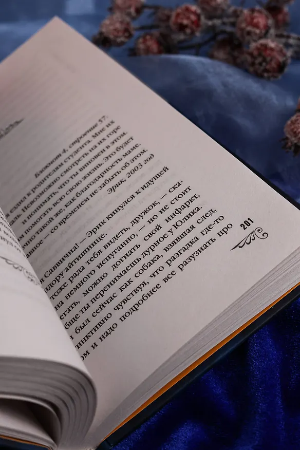 Книга Закон навязанных обстоятельств (Юлия Ефимова) — 13