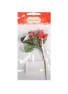 Букет рождественский бузина в пакете с хедером (14-00558-SM8829)