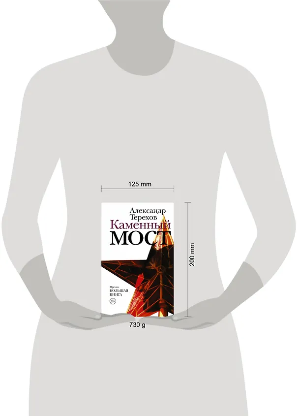 Книга Каменный мост (Александр Терехов) — 4