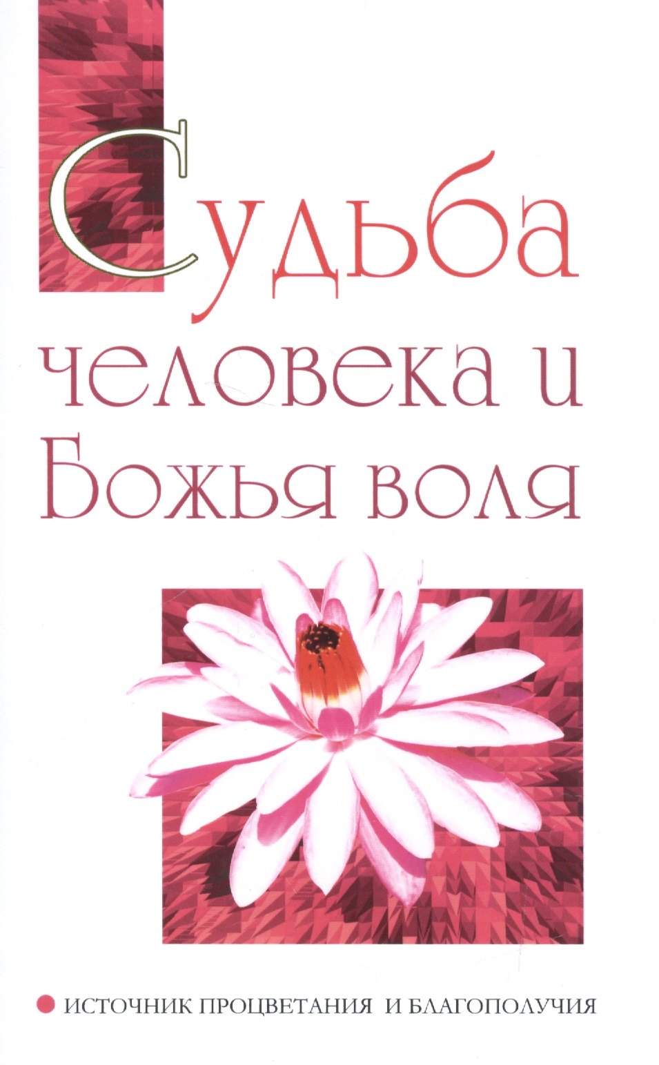 

Судьба человека и Божья воля. Источник процветания и благополучия