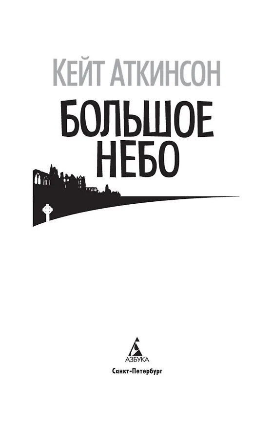 Книга Большое небо (Кейт Аткинсон) — 5