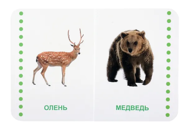 Книга Дикие животные () — 3
